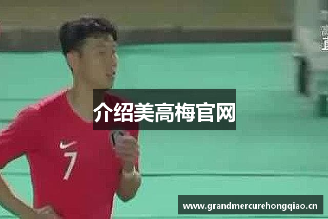 介绍美高梅官网